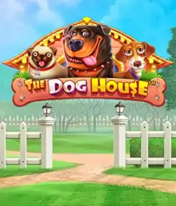 From Pragmatic Play comes The Dog House, bringing you an adorable journey through charming canines. Enjoy features including sticky wilds, perfect for providing exciting wins. Perfect for those who enjoy an amusing theme and the opportunity to win big.