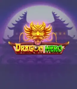 Enter a mythical quest with Dragon Hero Slot by Pragmatic Play, featuring vivid visuals of ancient dragons and epic encounters. Venture into a world where magic meets excitement, with symbols like treasures, mystical creatures, and enchanted weapons for a thrilling gaming experience.