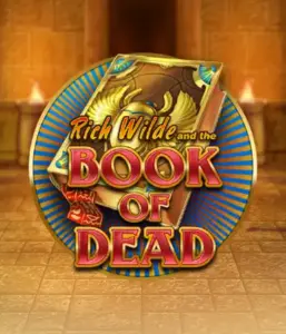 Dive into the thrilling world of Book of Dead Slot by Play'n GO, showcasing vivid graphics of Rich Wilde’s adventurous journey through ancient Egyptian tombs and artifacts. Uncover lost riches with exciting mechanics like free spins, expanding symbols, and a gamble option. Ideal for adventure seekers with a desire for unearthing secrets.